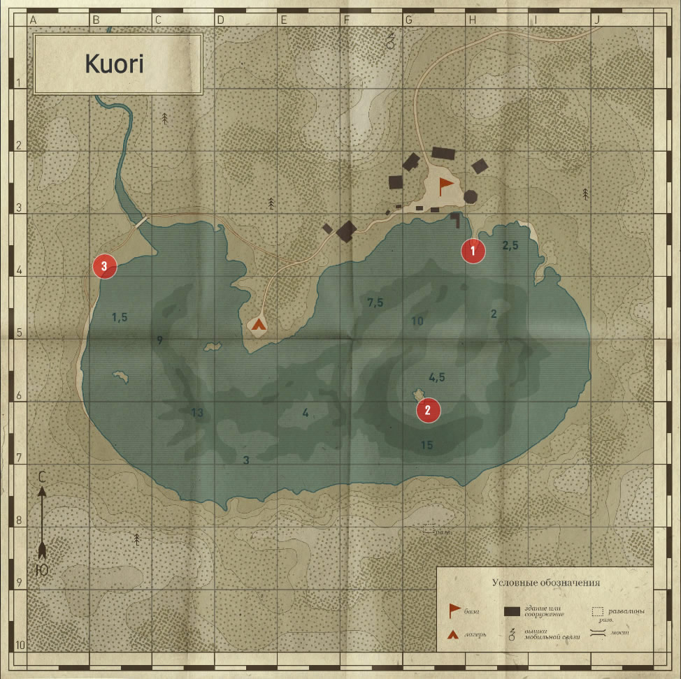 Kuori